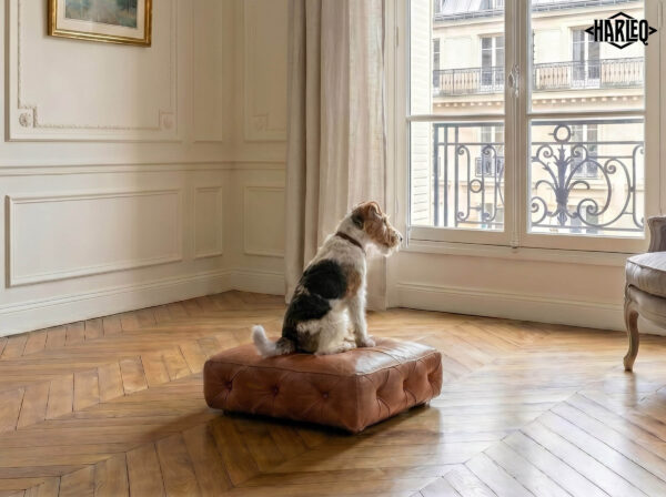 Cushion Minimal Luxury Dog Sofa Bed