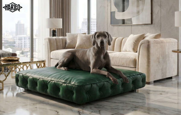 Cushion Minimal Luxury Dog Sofa Bed
