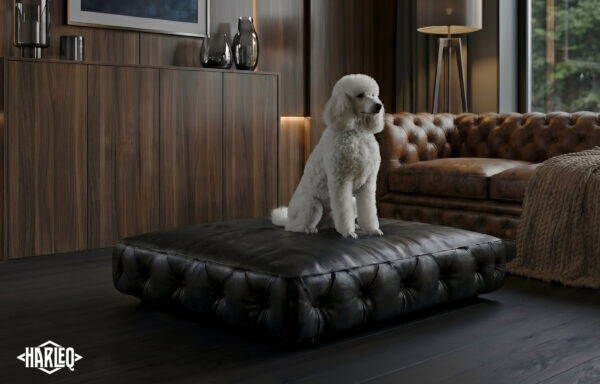 Cushion Minimal Luxury Dog Sofa Bed