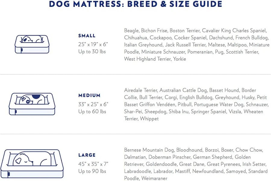 Casper Bolster Dog Bed, Sand, Large